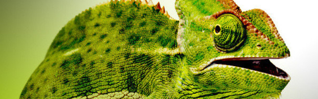 banner-suse-001